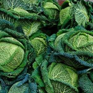 CHOU FRISE - entier - environ 1,6 kg - 3,10 €/kg - 